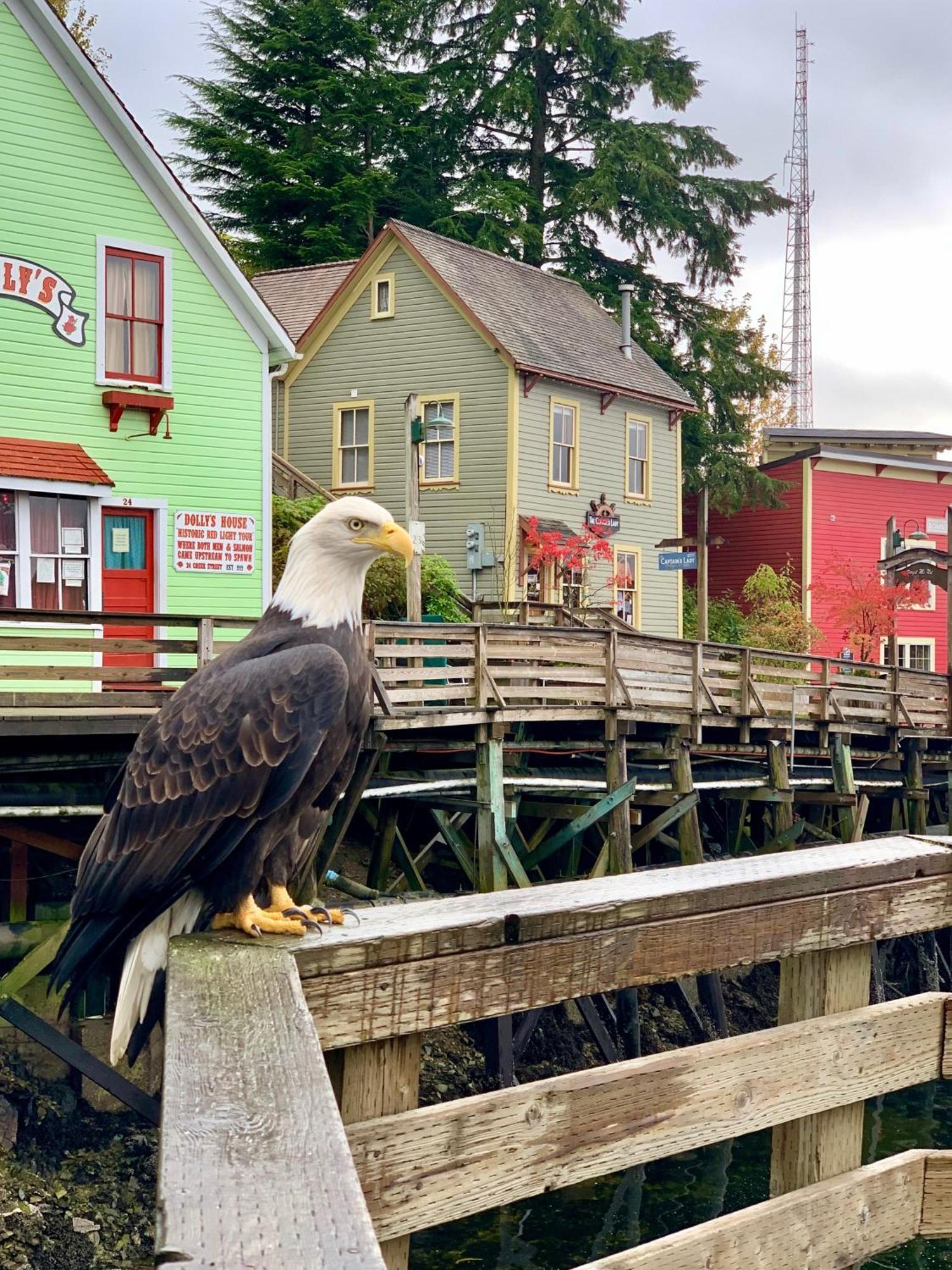 Inn At Creek Street Ketchikan Exterior foto